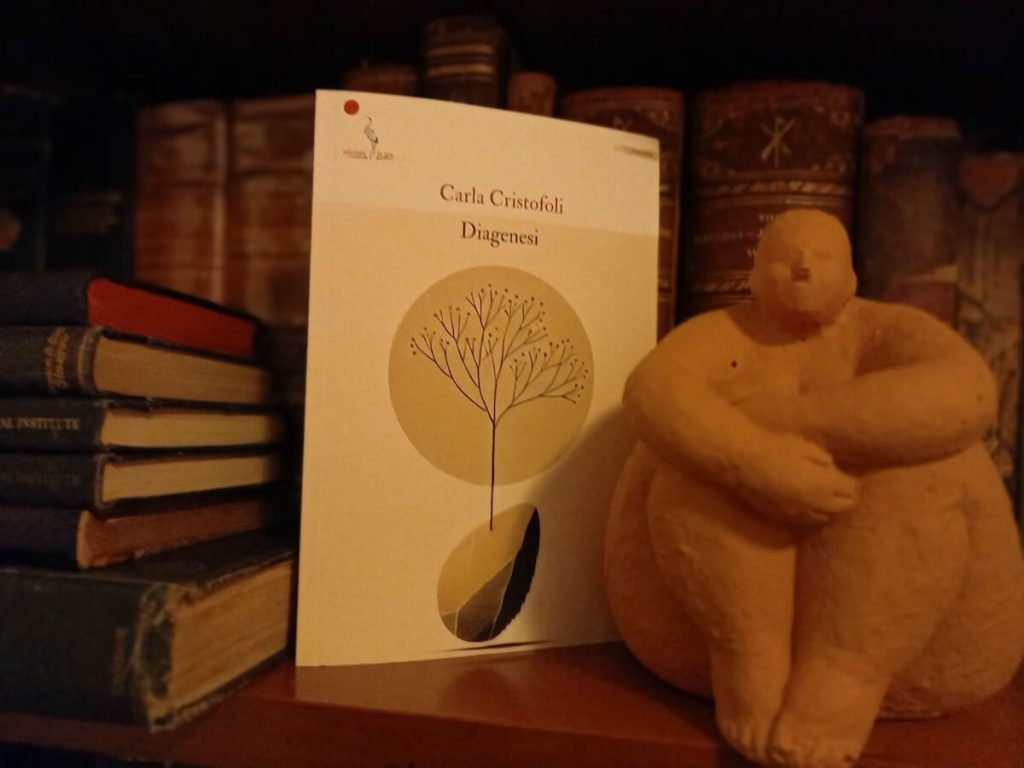 diagenesi